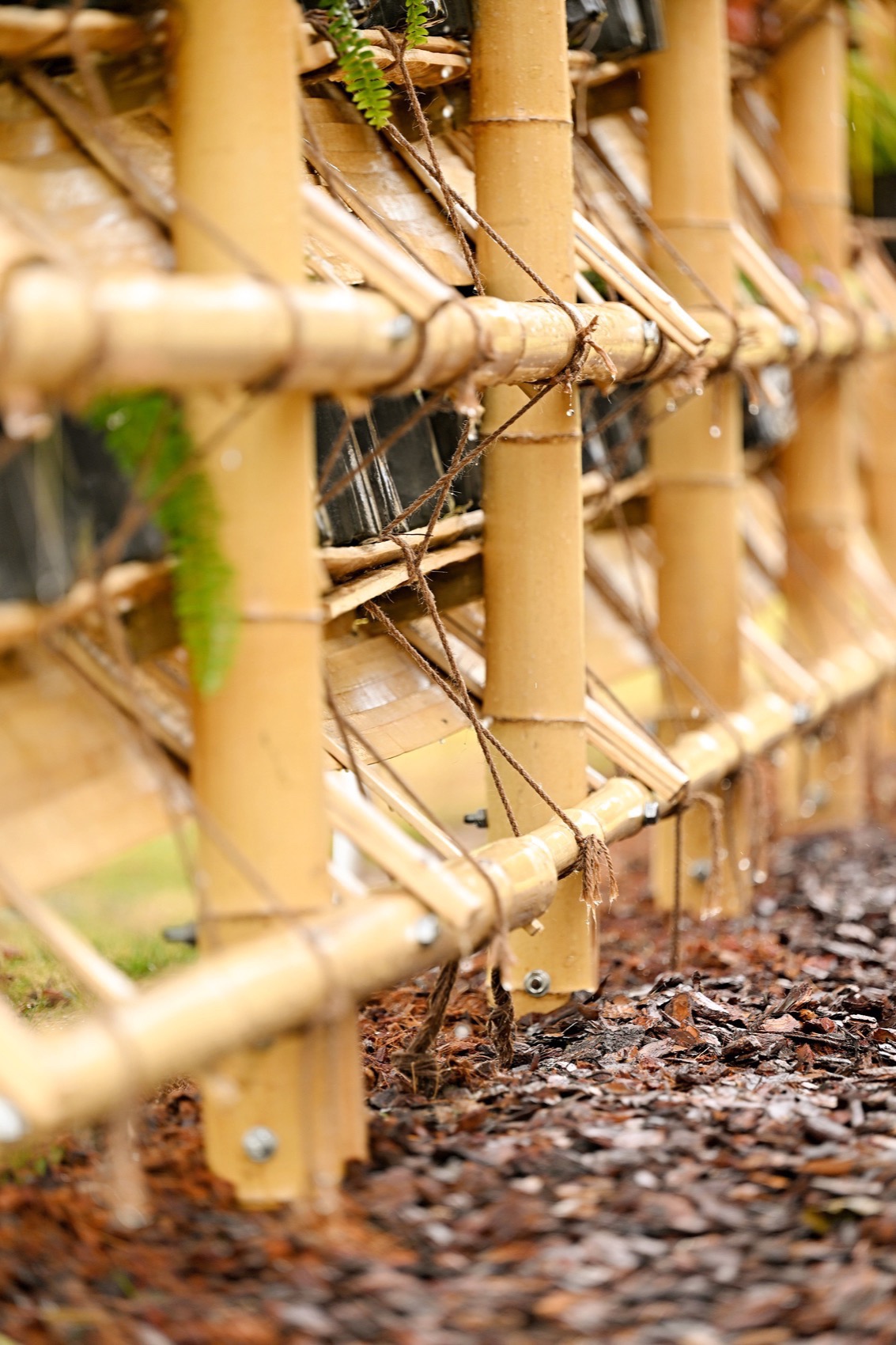 东篱下丨中国成都丨北京林业大学北林风景建筑研究中心-14