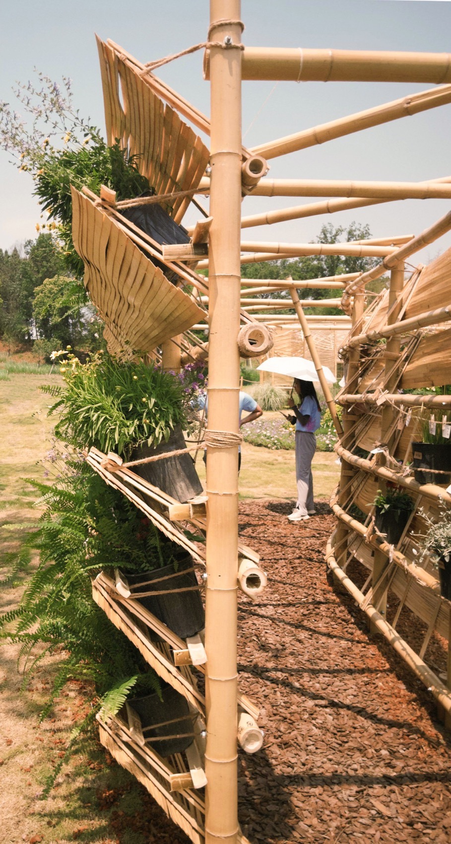 东篱下丨中国成都丨北京林业大学北林风景建筑研究中心-15