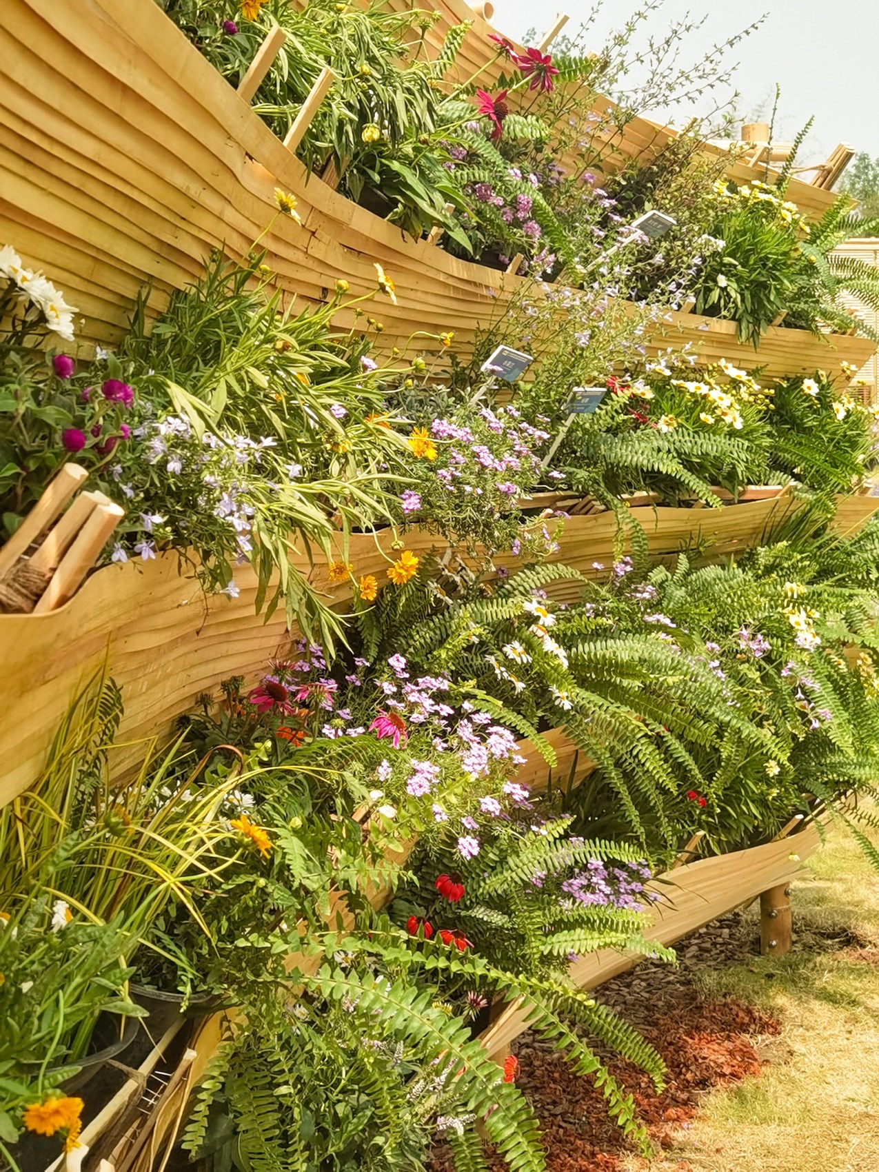 东篱下丨中国成都丨北京林业大学北林风景建筑研究中心-21