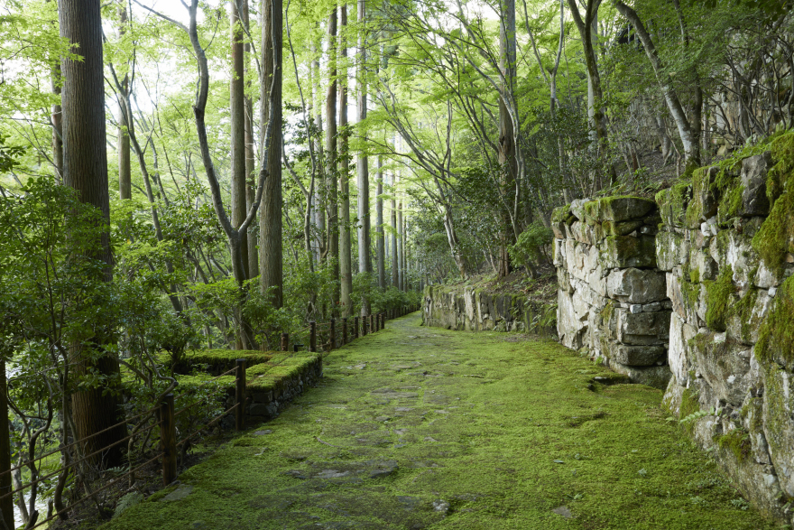 日本古老皇都中的隐秘庭院——安缦酒店丨日本丨Kerry Hill Architects-19