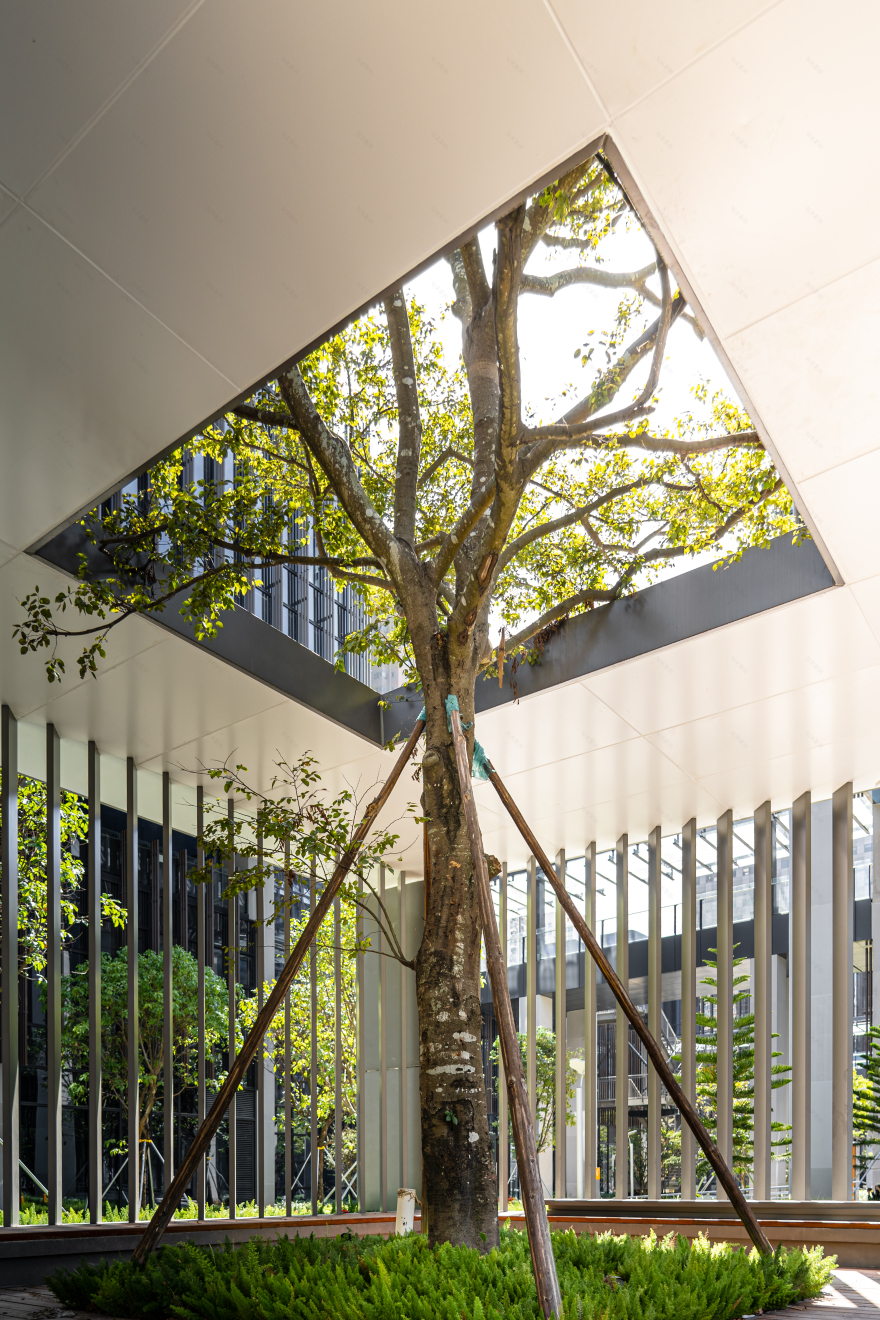 深圳粤港澳青年创业区二期丨中国深圳丨香港华艺设计顾问(深圳)有限公司-12