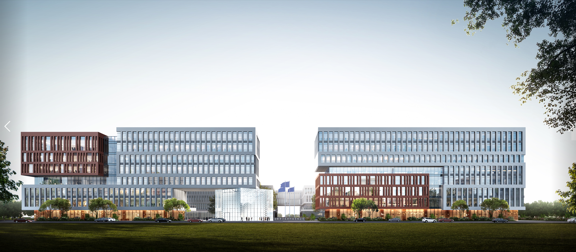 华方医药丨中国合肥丨上海天华-0