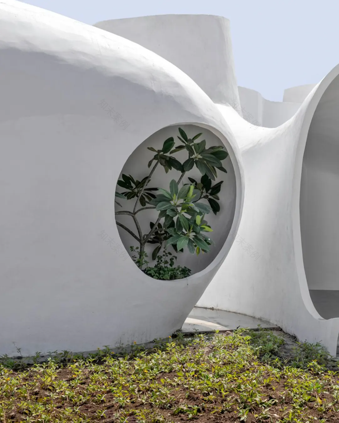 办公建筑丨印度-14