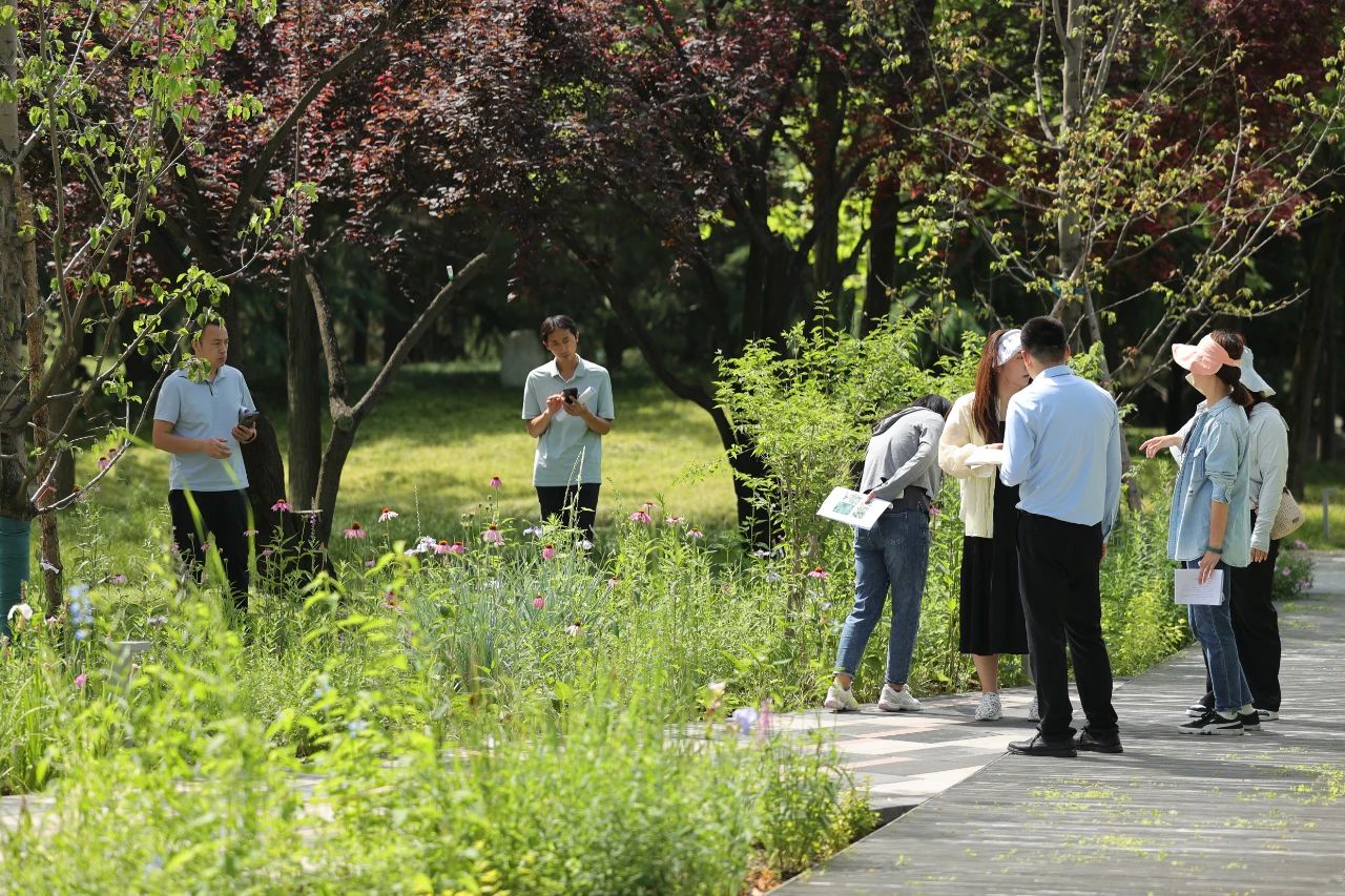 欧亚学院南姜路景观改造丨中国西安丨张唐景观-76