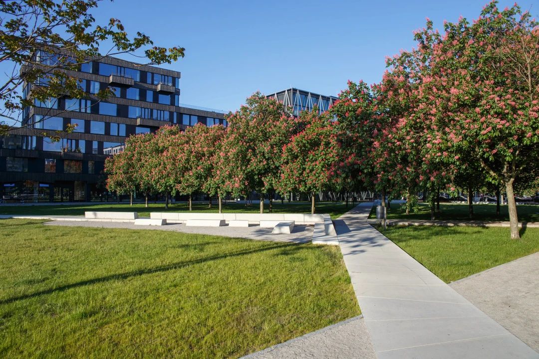 Rehwaldt 雷瓦德,柏林贝塞尔公园,巡礼丨德国丨RLA 德国雷瓦德景观建筑事务所-12