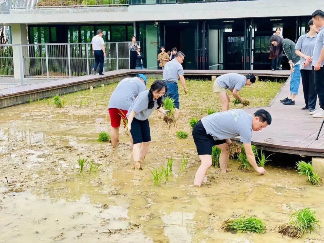 “洄归” —— 英格玛集团总部大楼丨中国苏州丨苏州华造建筑设计有限公司-28