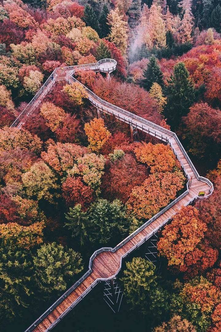 空中栈道丨中国上海丨上海柏涛-0