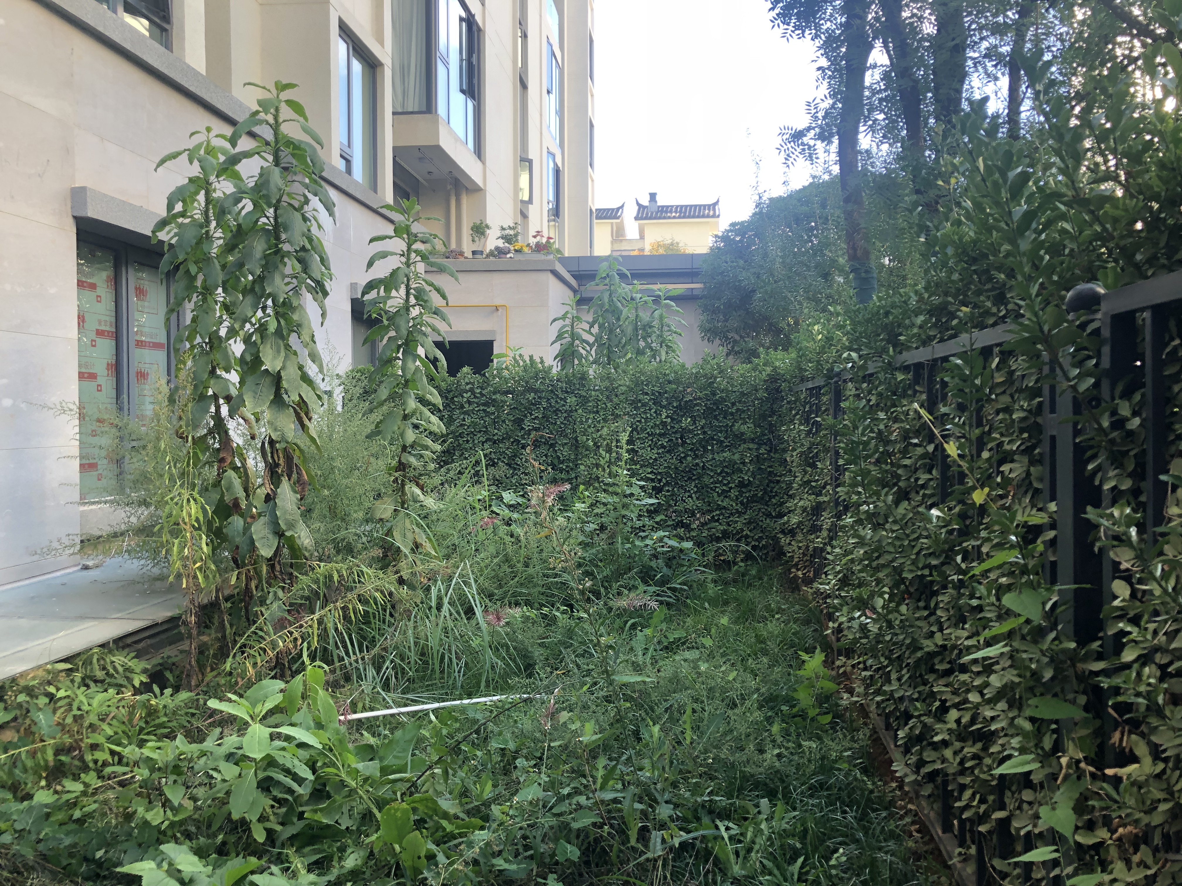 山海春风融合自然的现代庭院丨中国昆明丨OUYA巴明然-3