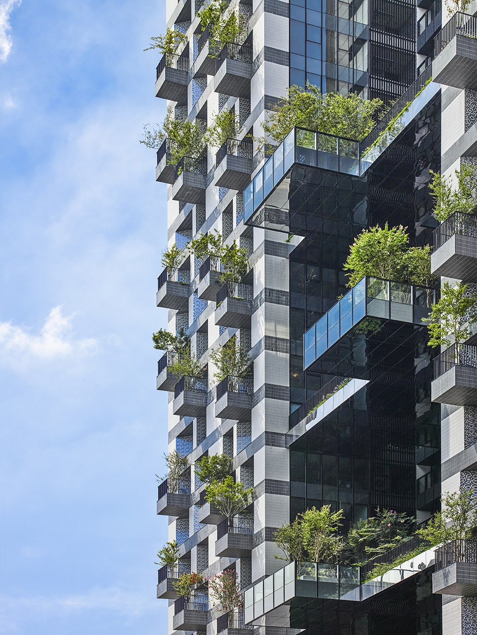 第四代住房：Sky Green住宅综合体丨中国台州丨WOHA设计-2