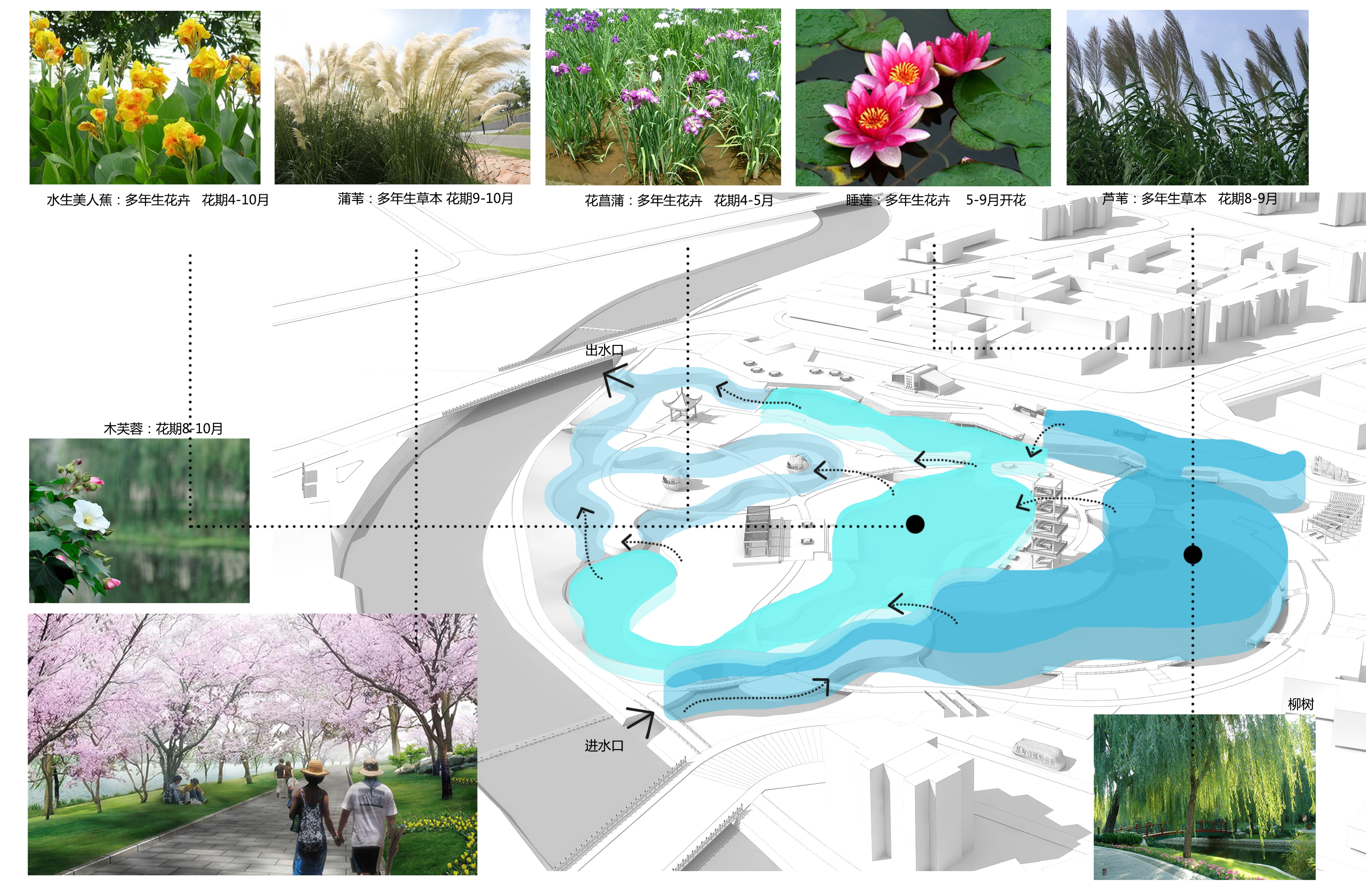 安顺市平坝区杨柳湾滨河公园景观丨中国安顺丨中国电建集团贵阳勘测设计研究院有限公司-35