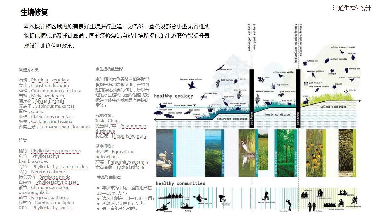 大兴区采育凤河绿道项目丨中国北京丨姚伟科-66