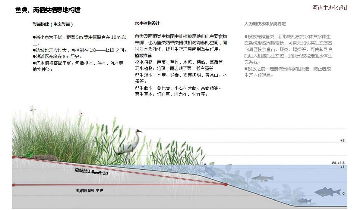 大兴区采育凤河绿道项目丨中国北京丨姚伟科-60