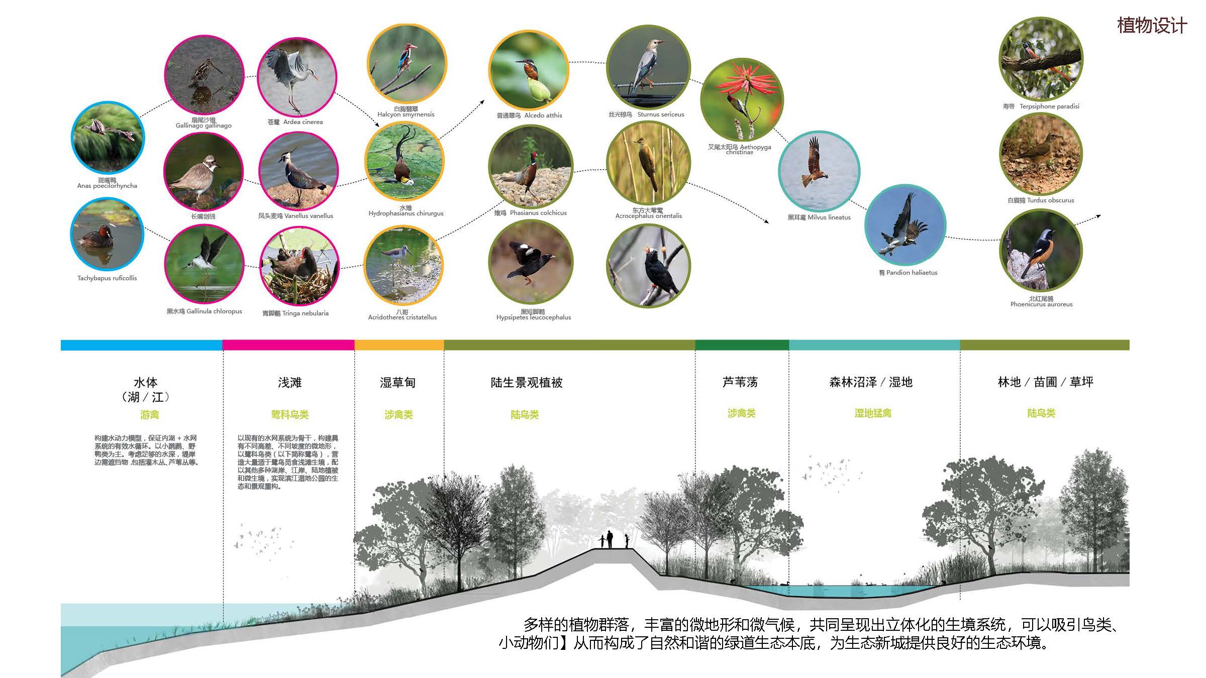 大兴区采育凤河绿道项目丨中国北京丨姚伟科-62