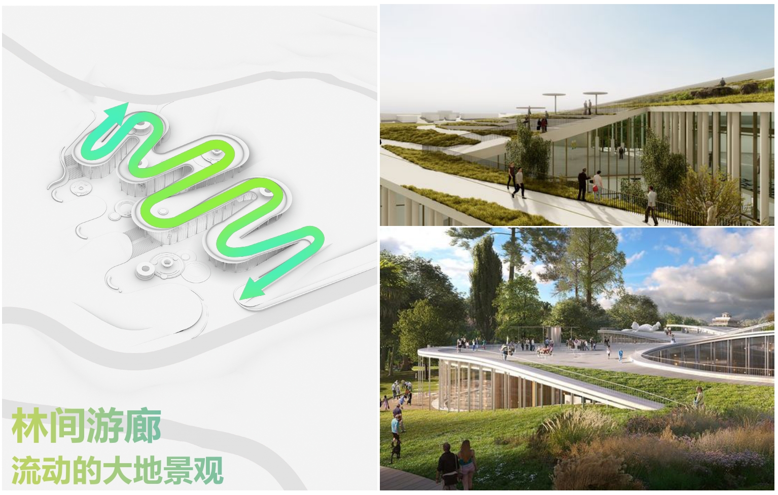 鳌龙鱼灯,流动大地—玉环城市高台概念方案丨中国台州丨之易建筑设计咨询(杭州)有限公司-10