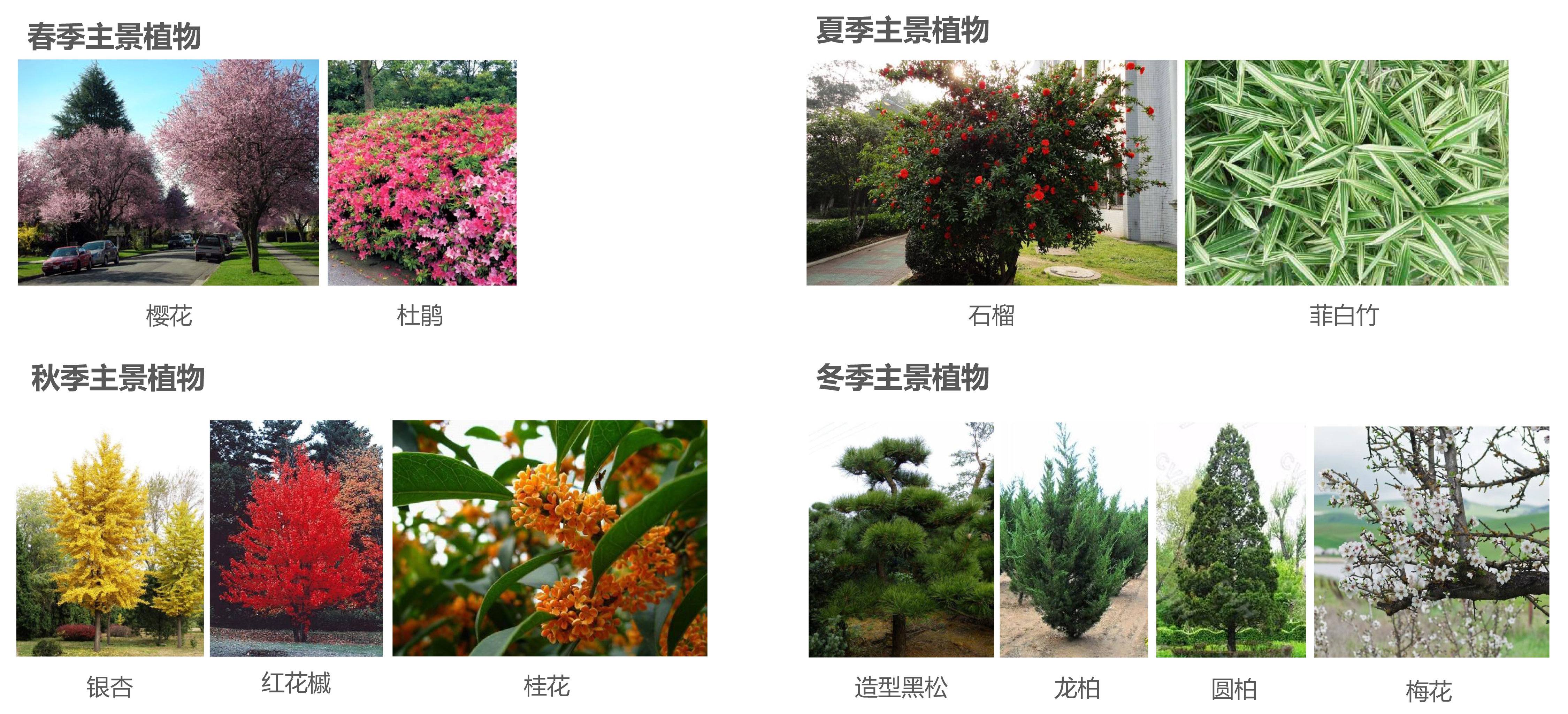 城市更新暨棚户区景观提升改造设计丨中国贵阳丨设计院-47