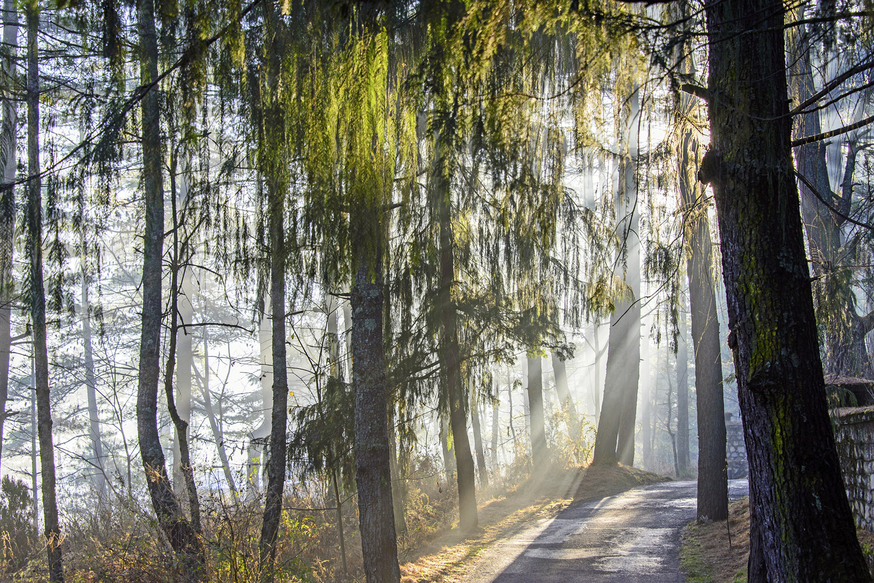 Kerry Hill不丹安缦酒店设计丨不丹丨Kerry Hill科瑞·希尔-28