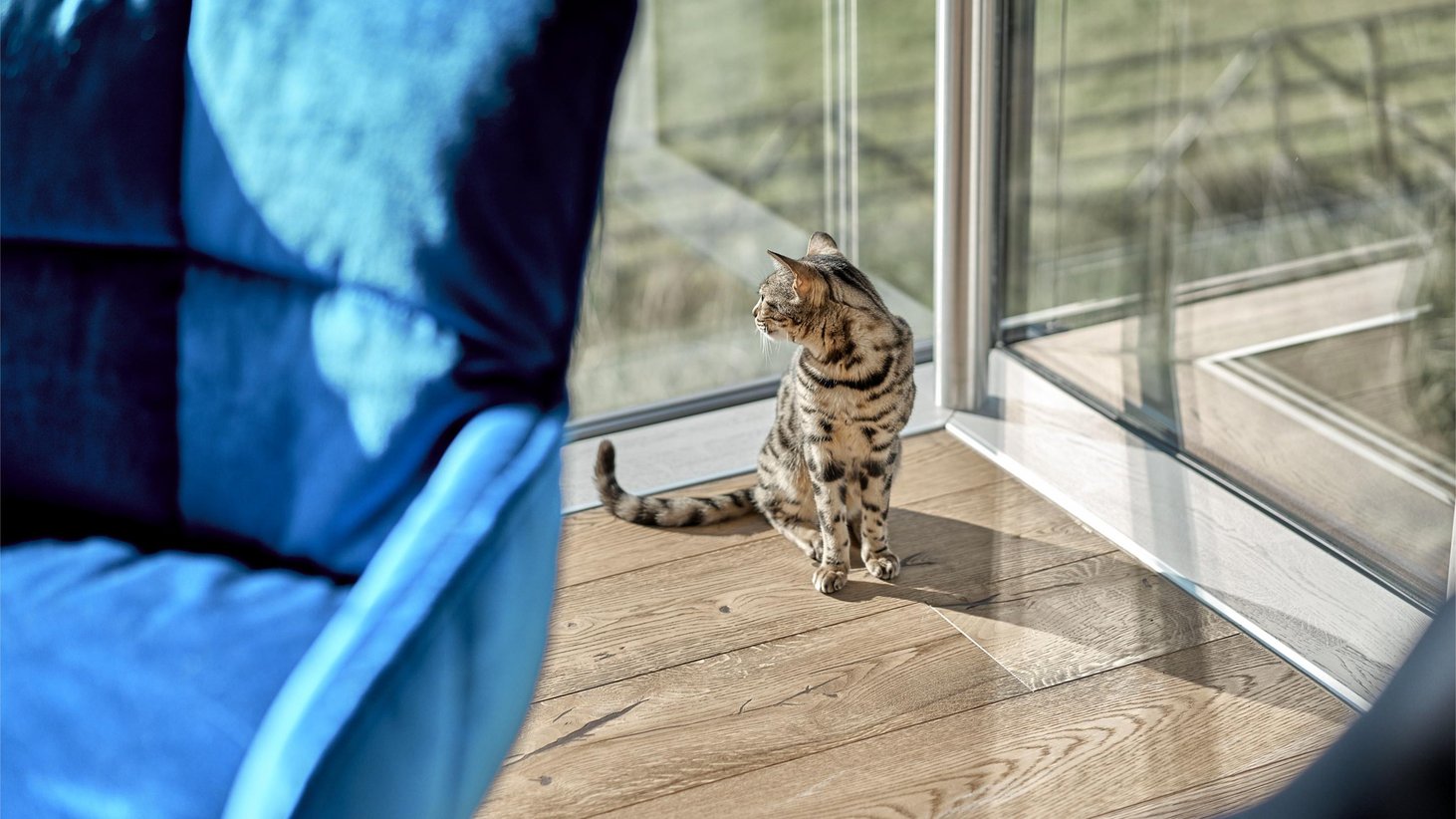 经典的生活冬季花园丨美国丨steinbach-0