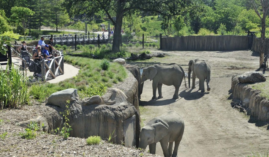 Zoo and Aquarium丨美国丨clr design-11