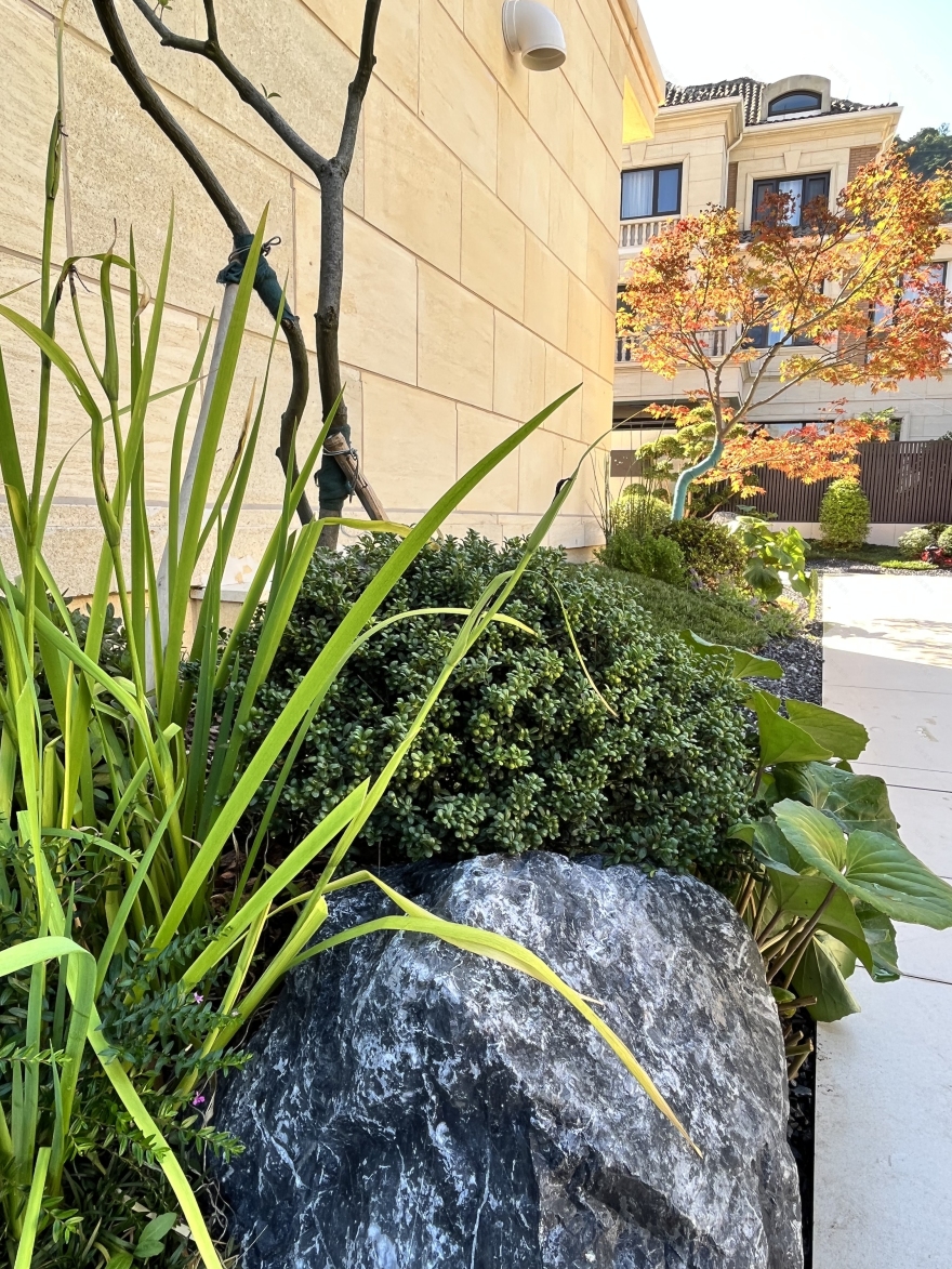 台州·香格里拉丨中国台州丨苏州佐格景观工程有限公司封军-29