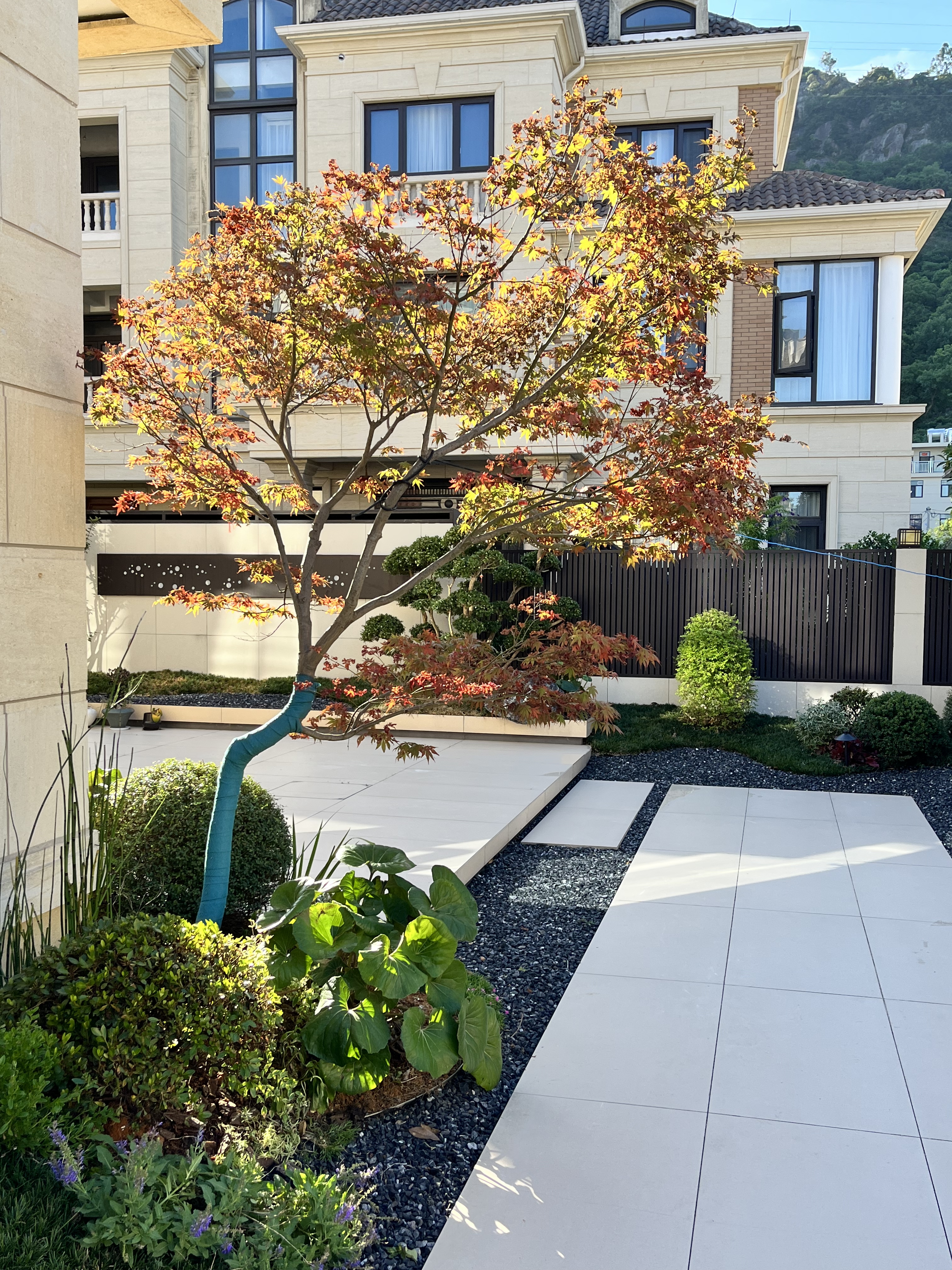 台州·香格里拉丨中国台州丨苏州佐格景观工程有限公司封军-28