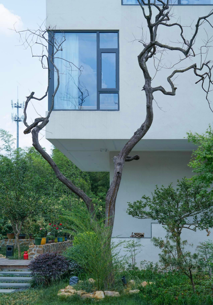 松楼·艺宿丨中国无锡丨苏州佐格景观工程有限公司封军-30