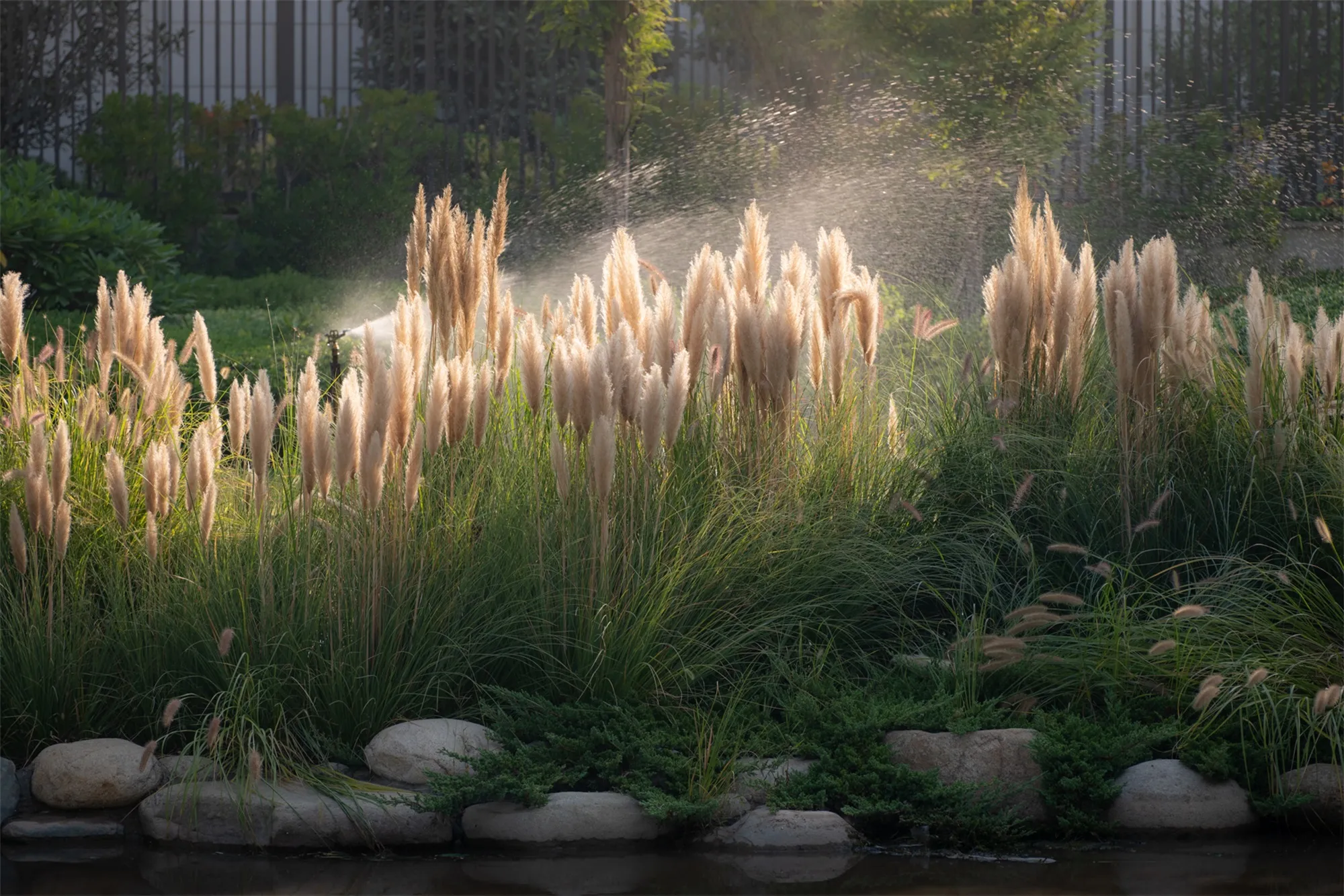 西川生态公园景观设计案丨中国郑州丨翰祥景观-8