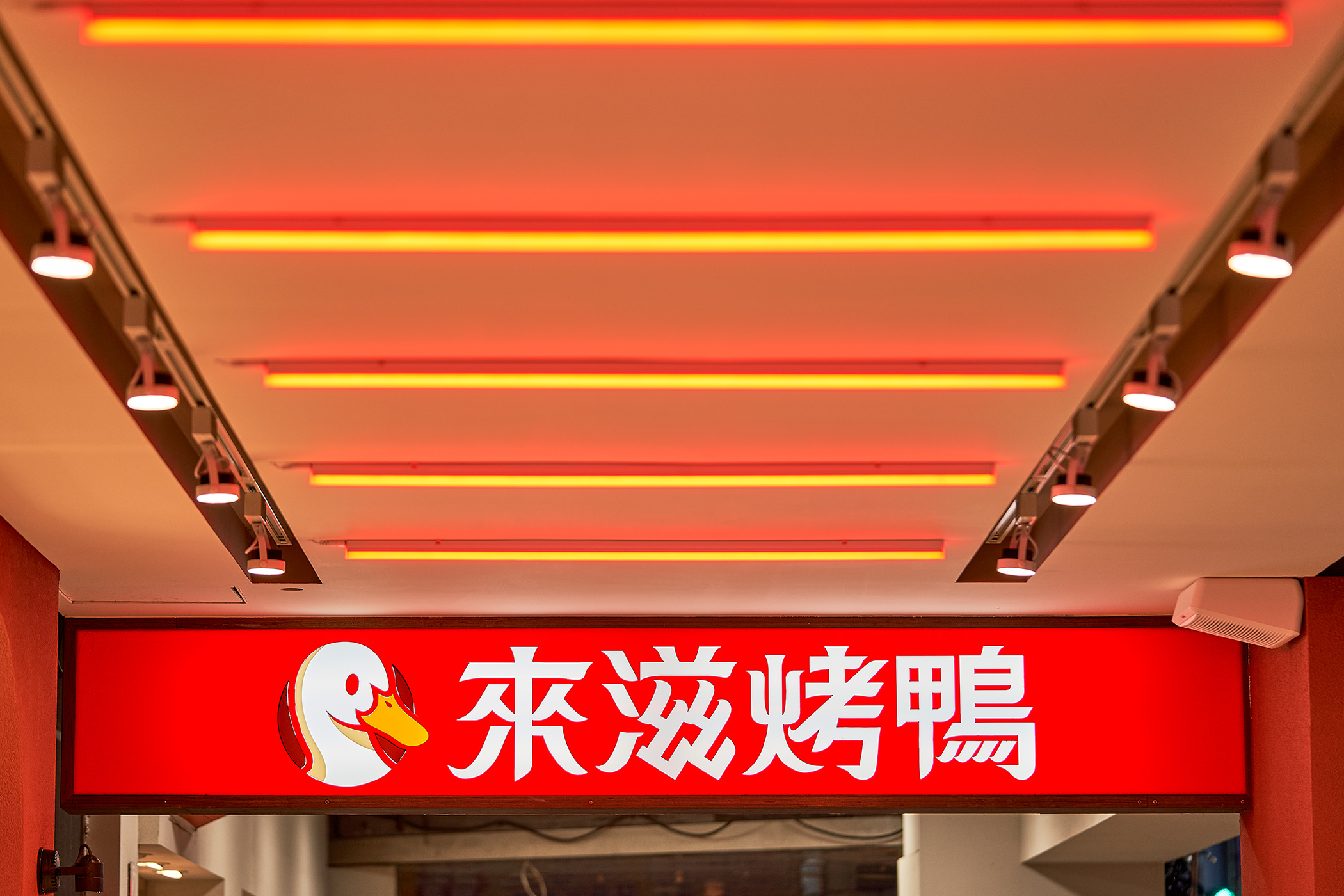 來滋烤鸭 LET'S DUCK (王品集团)丨中国港澳台地区丨此刻识别设计-5