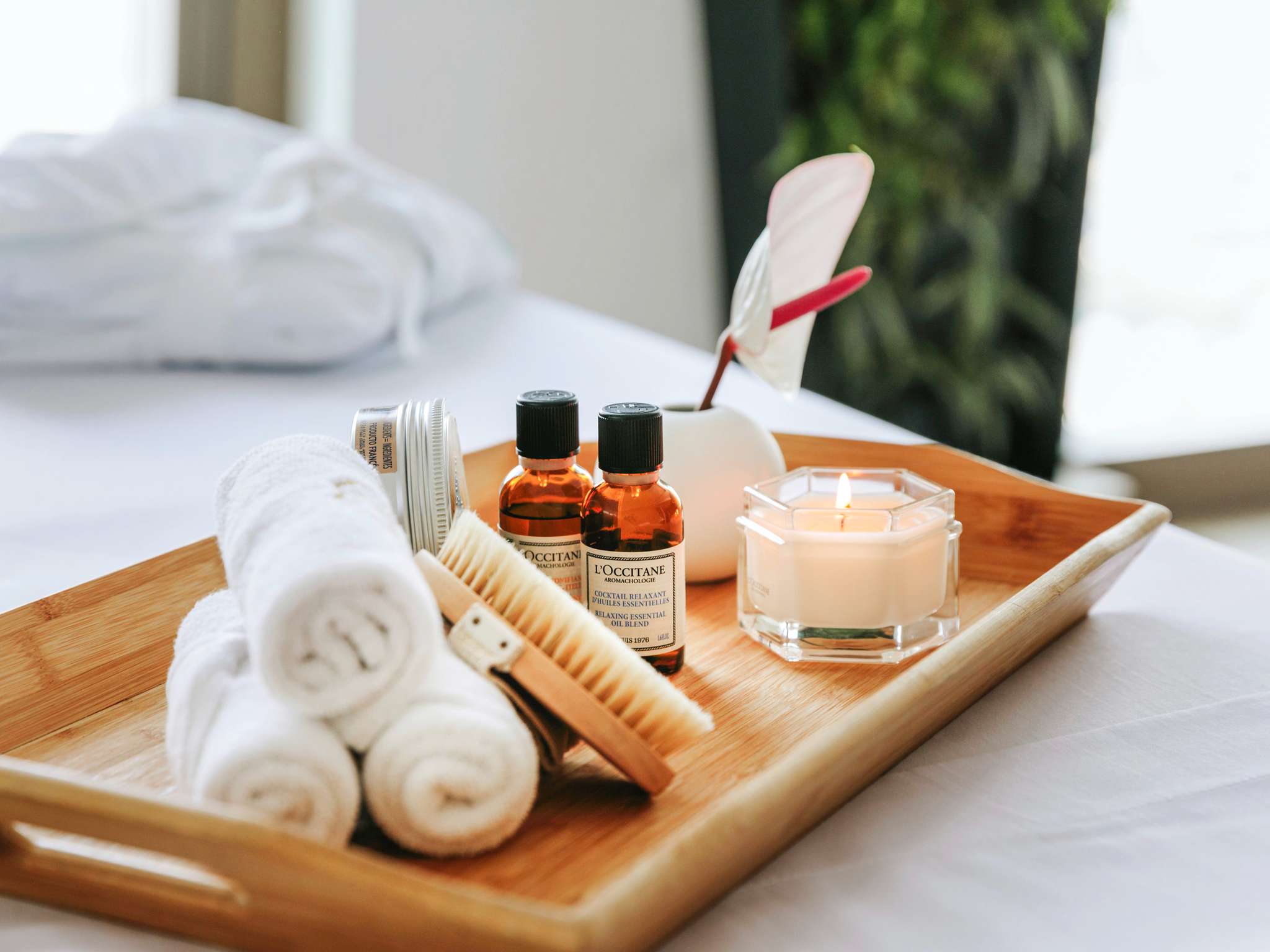 墨西哥城索菲特改革大道酒店丨墨西哥丨Sofitel-60