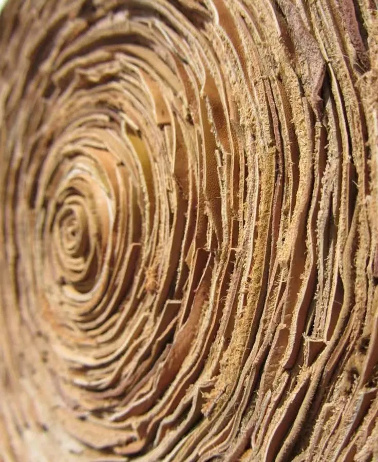 三亚中旅·馥棠公馆：候鸟衔花，双生之境丨中国海南藏族自治州丨布鲁盟-17