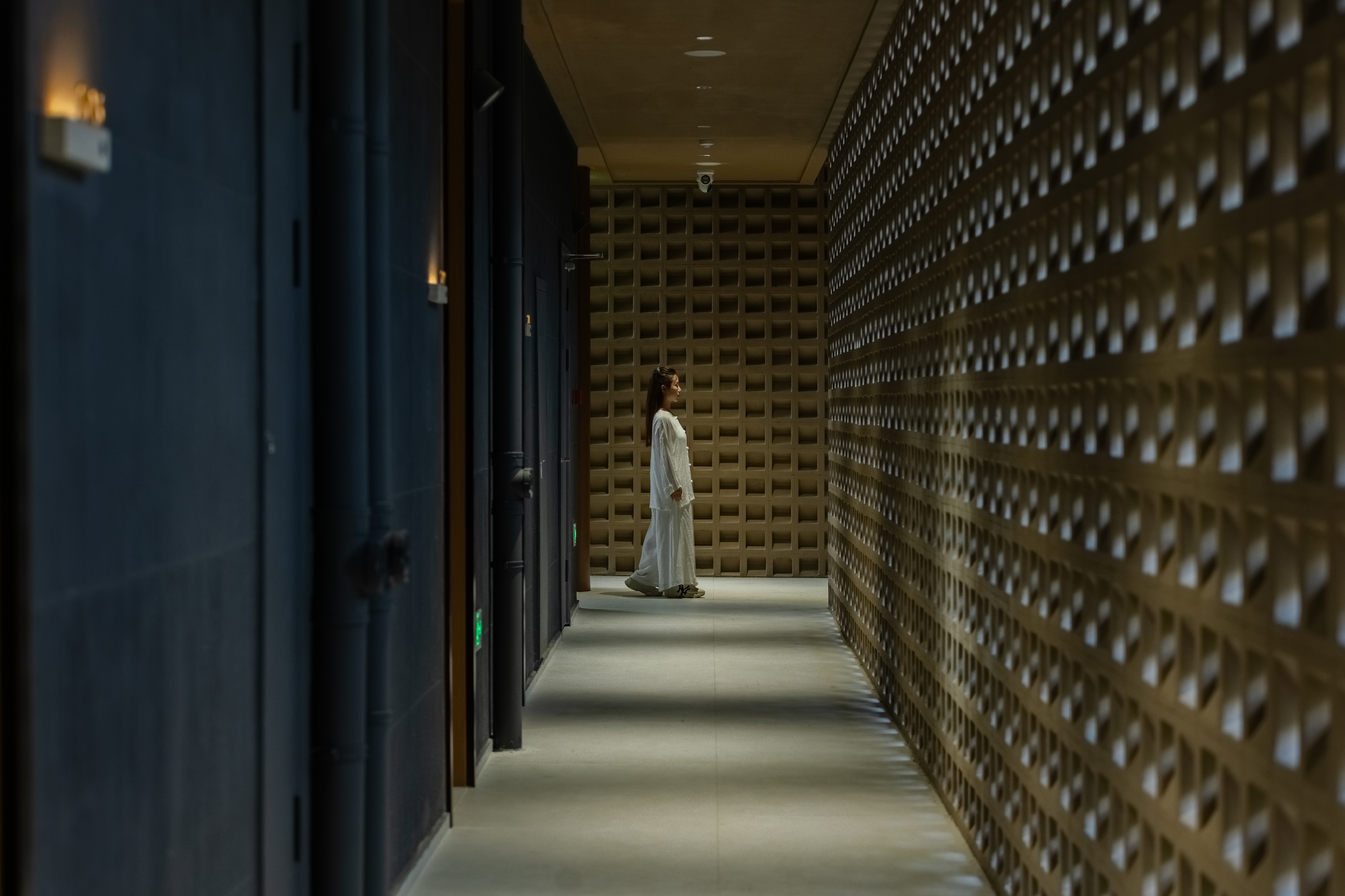 岱鳌山居丨中国合肥丨合肥佳泰装饰工程有限公司 檀瑞-46