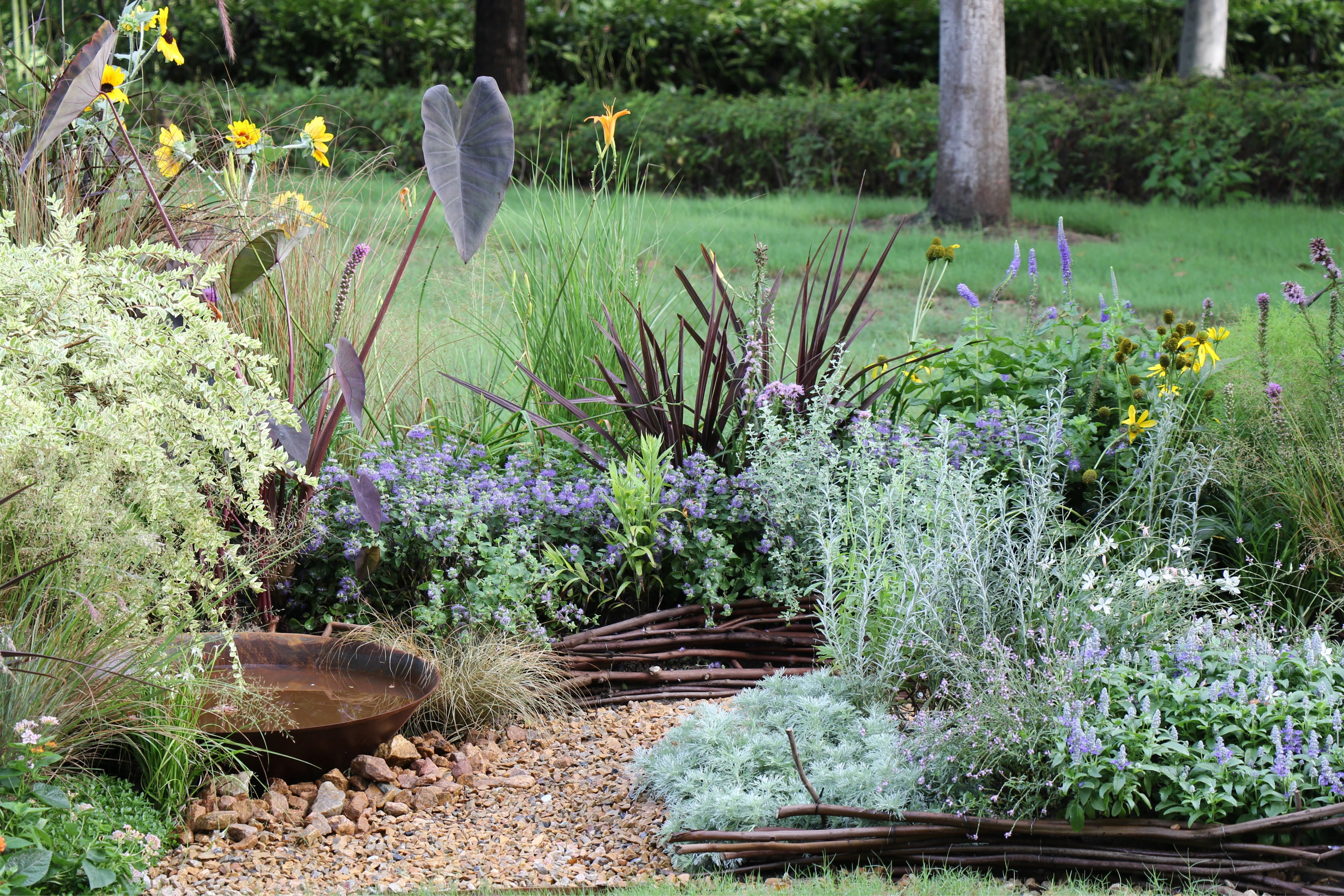 花境设计丨中国南通丨薛佩佩-5