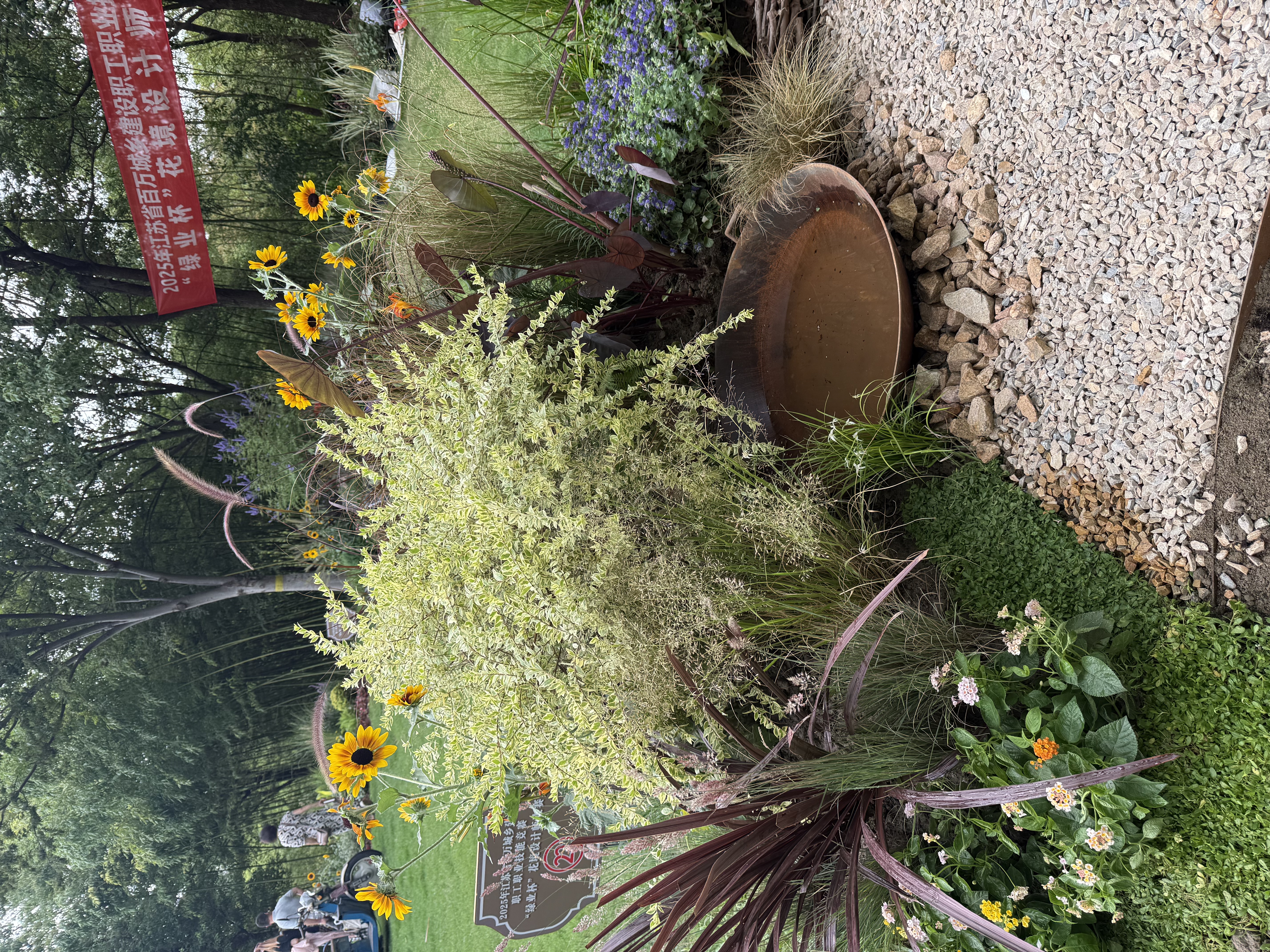 花境设计丨中国南通丨薛佩佩-6