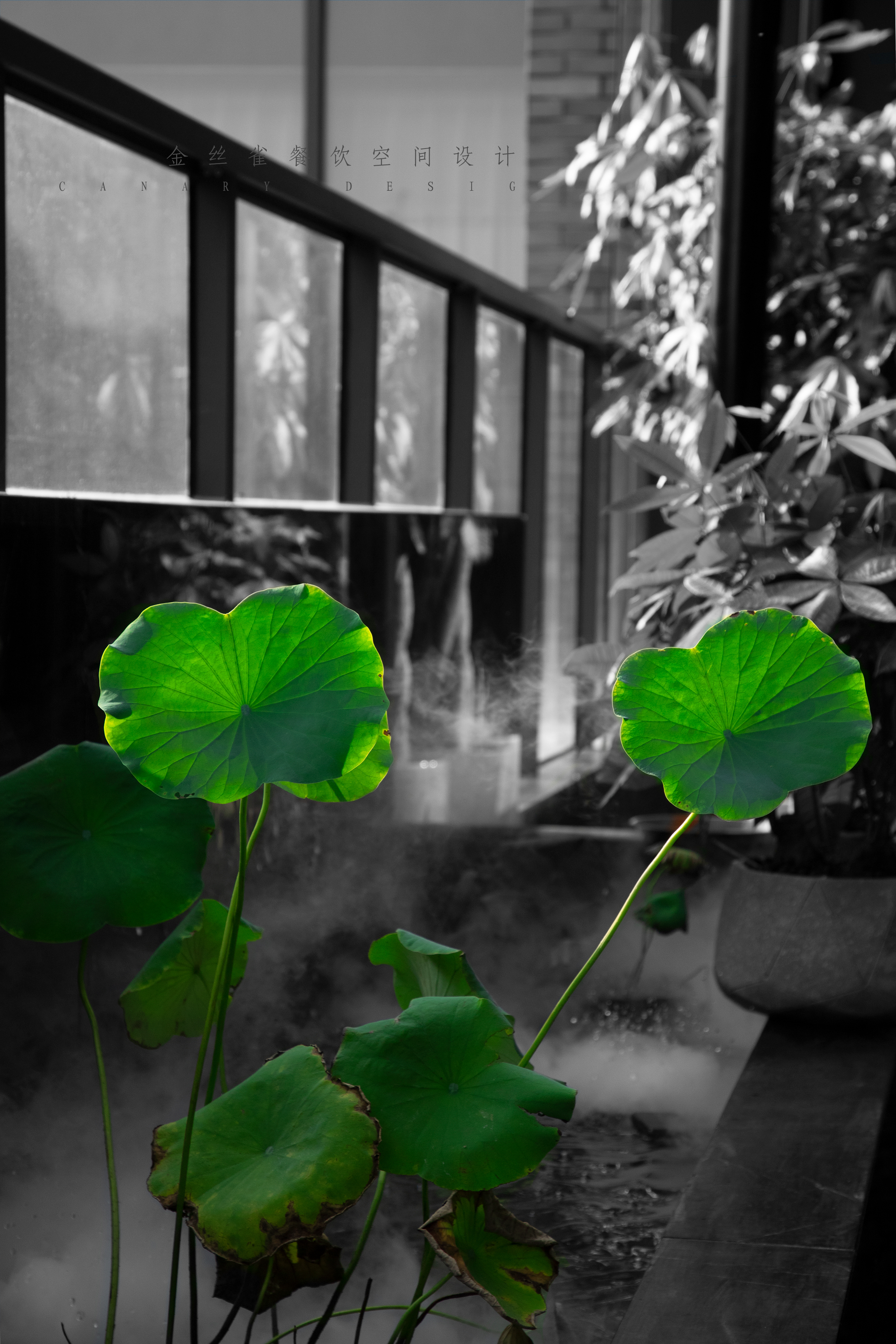 800㎡隐园商务餐厅丨中国合肥丨金丝雀餐饮空间设计-12