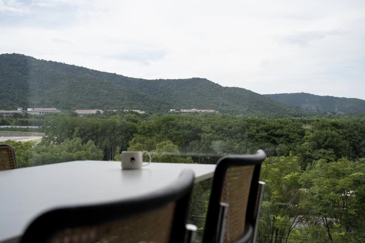 原木简约风格客厅丨中国湖州丨lgo desige-1