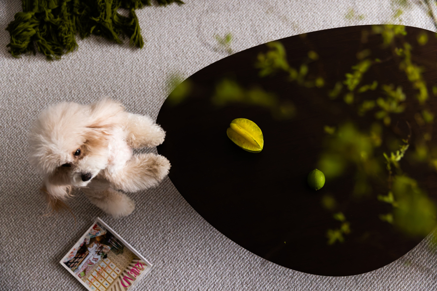 松弛栖居 让家成为生活的容器丨中国聊城丨上海众合铂纳空间设计-14