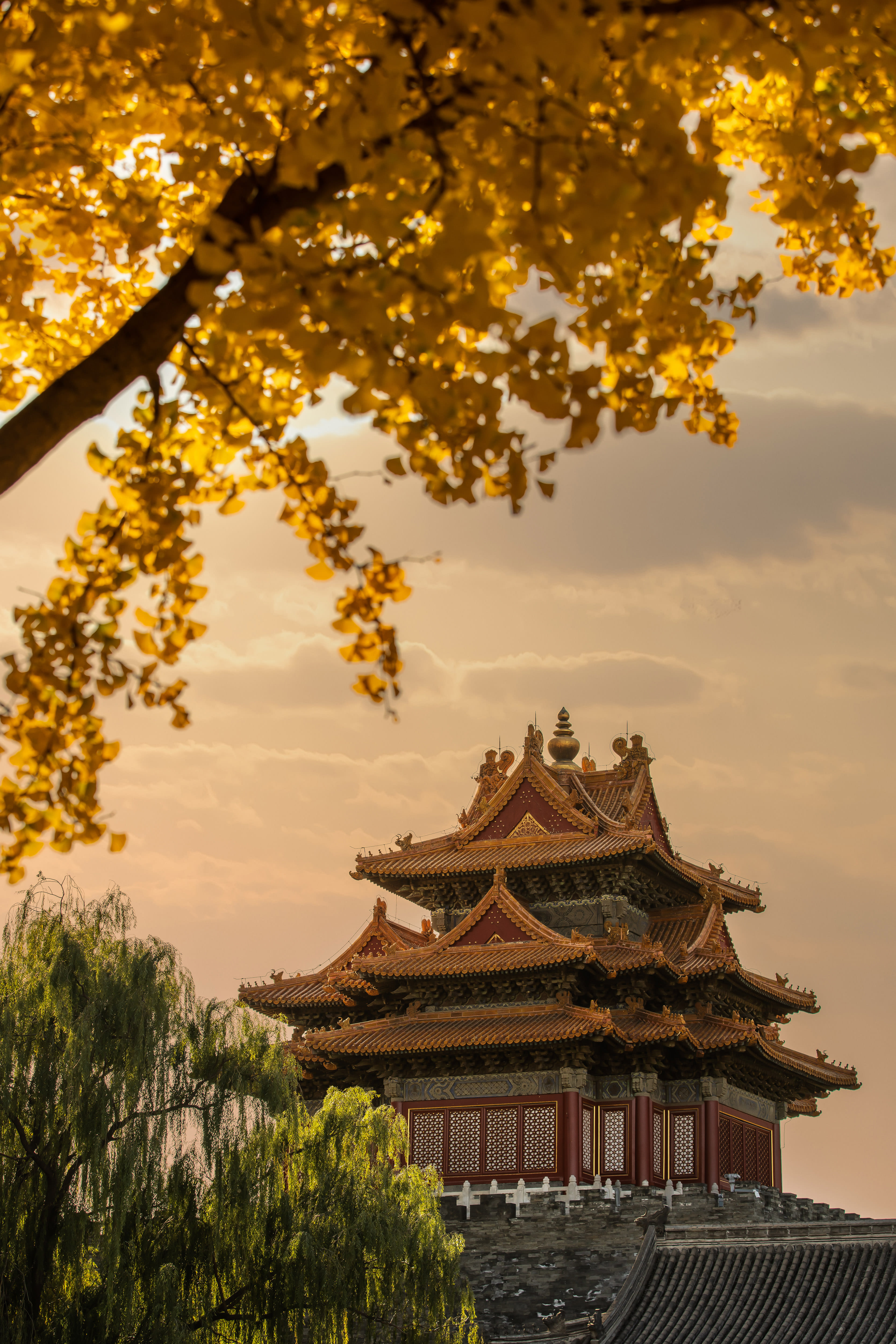 SUSHI ZEN • 北京丨中国北京丨刘道华LDH设计-10