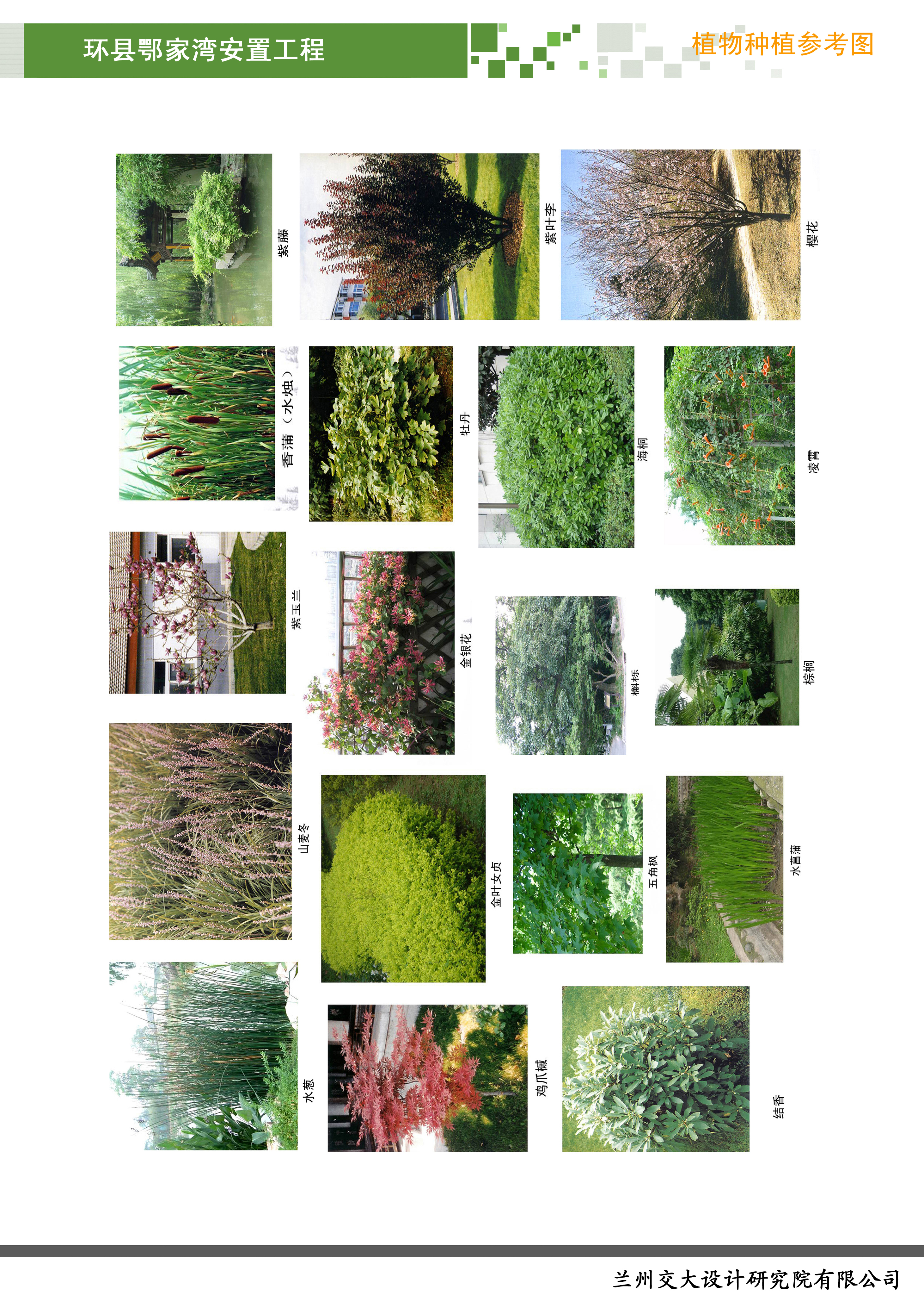 庆阳市鄂家湾小区丨中国庆阳丨MR罗-13
