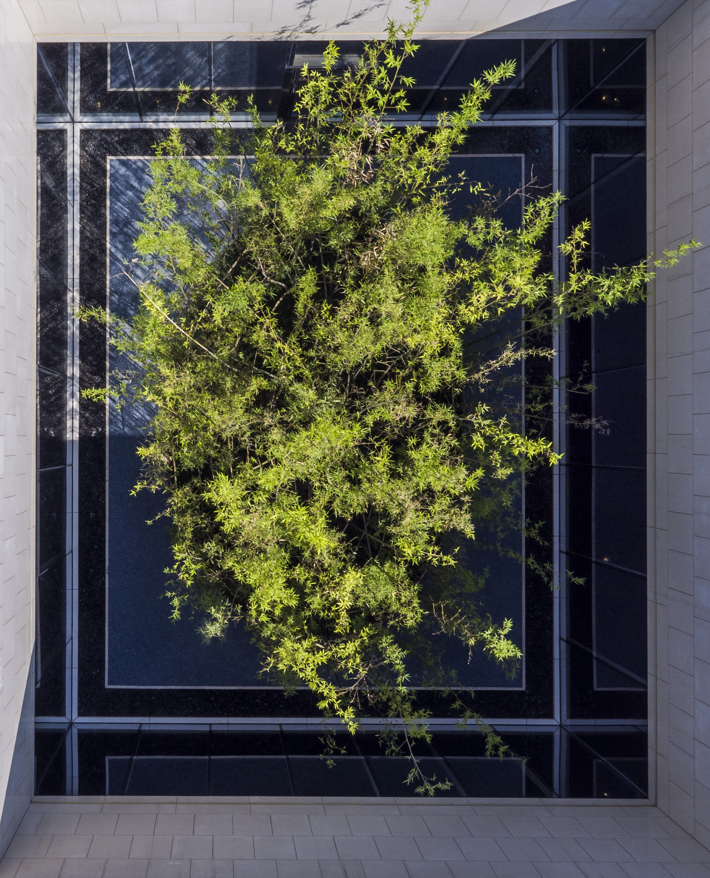 融创一号院示范区丨中国武汉丨上海大器景观-19