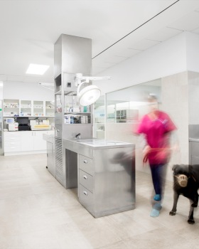 Constitución Veterinary 兽医诊所