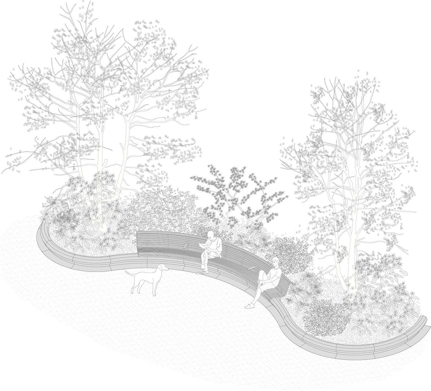 7000 Oaks 与城市生态共生的艺术设计-56