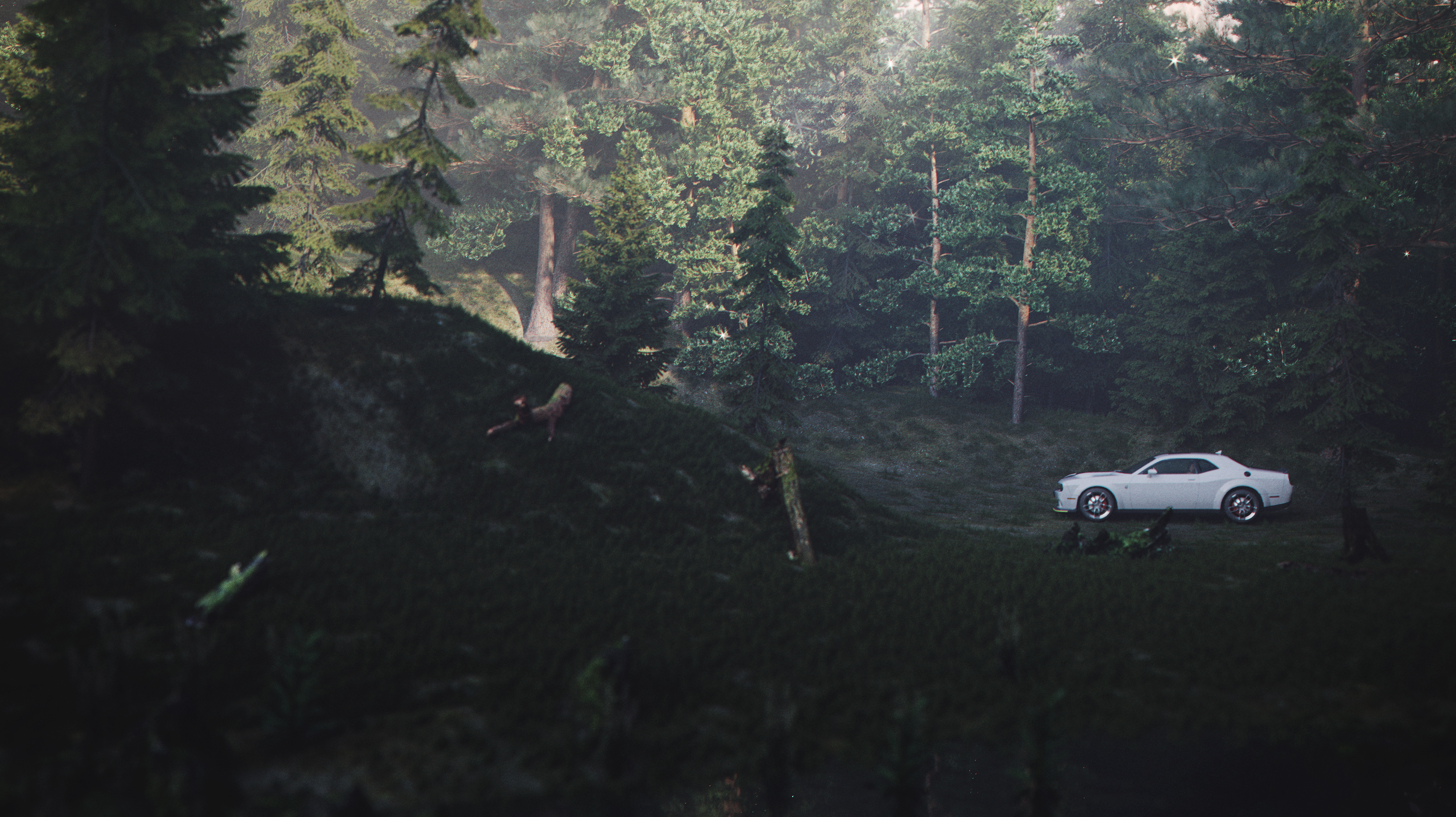 素色设计.森处-13