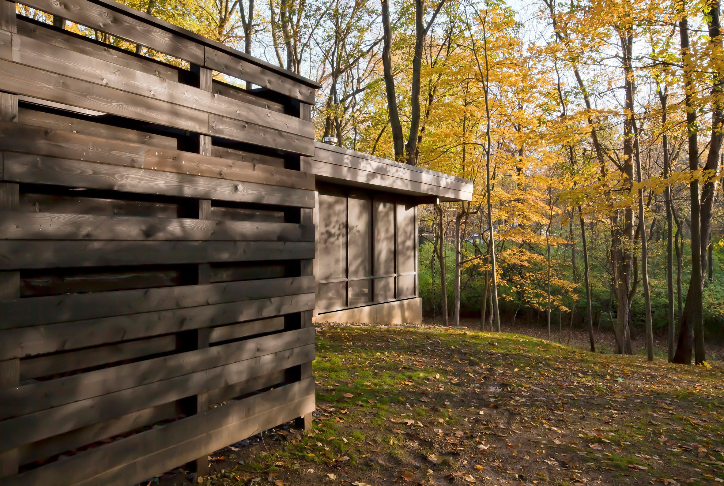 Haus overhauls midcentury modern home in the Indiana woods-23