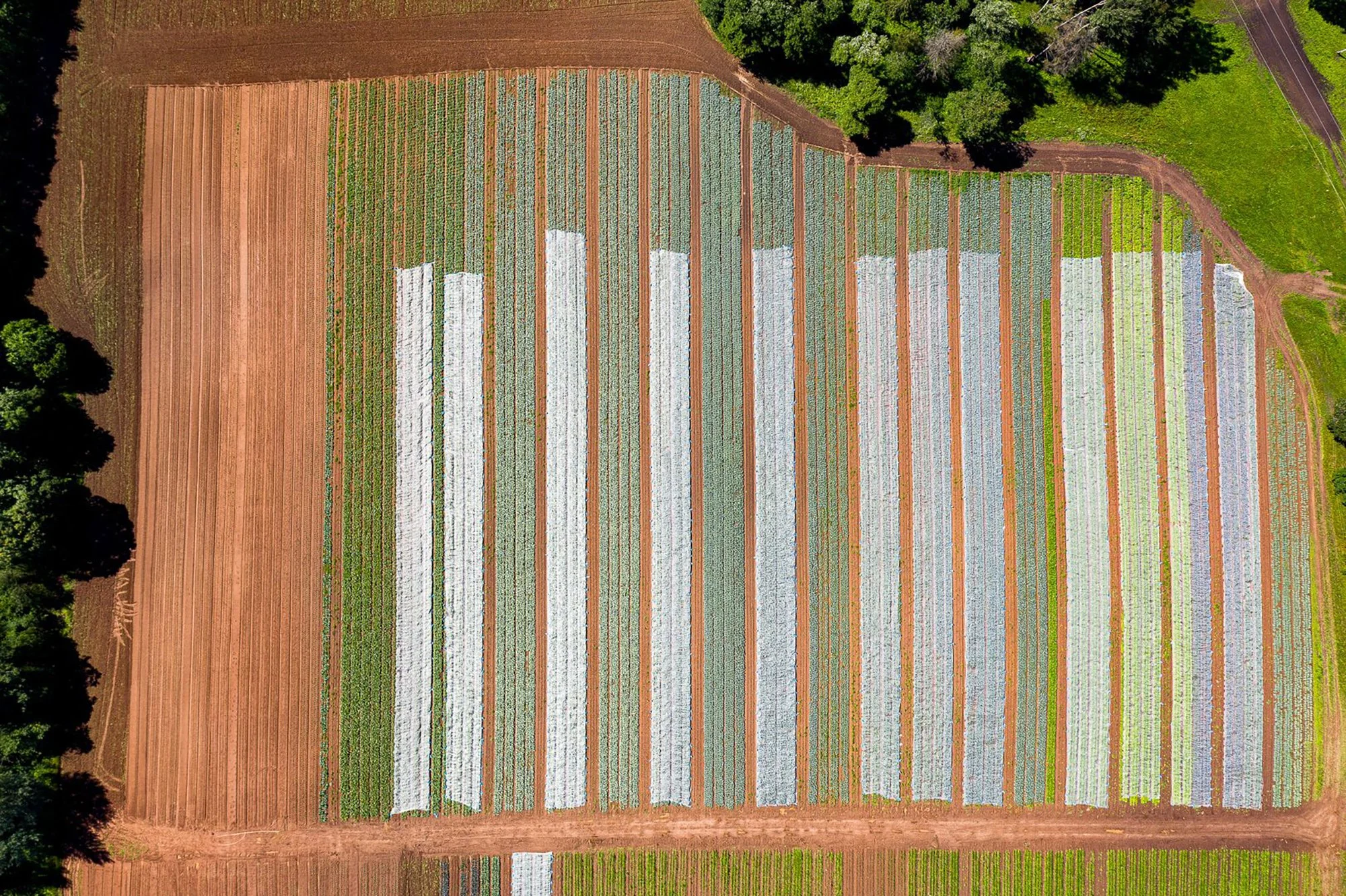 农民圈；农民圈子（具体含义可根据实际语境判断，这里圈既可以理解为有一定共同特点集合在一起的一个群体概念，也可理解为一种社交圈子之类的意思 ）

注：如果这是一个专有名称的话，可能有特定的、更合适的译法，可结合具体背景信息进一步判断 丨立陶宛丨DO ARCHITECTS-34