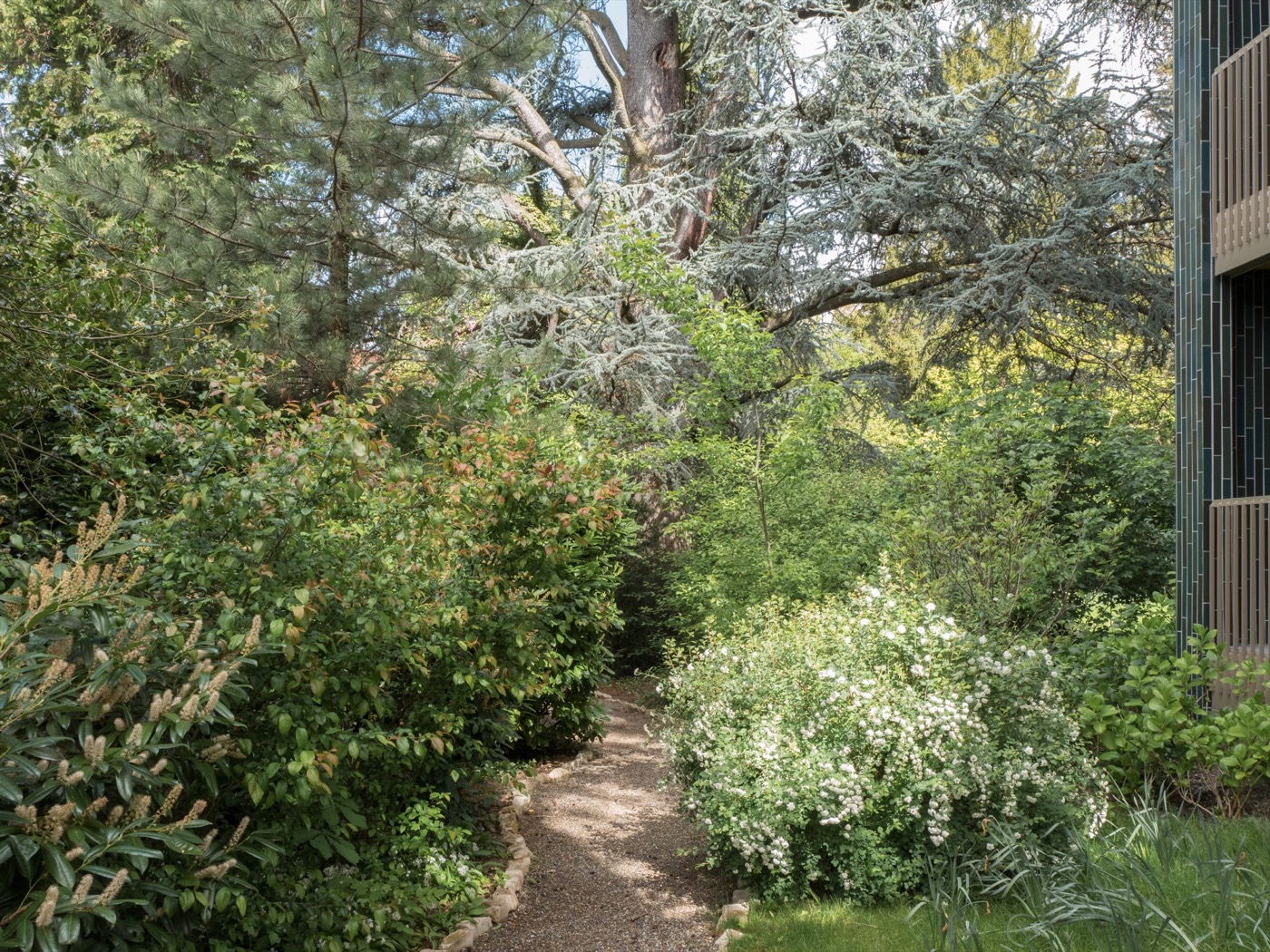 融合历史与自然的瑞士住宅设计-9