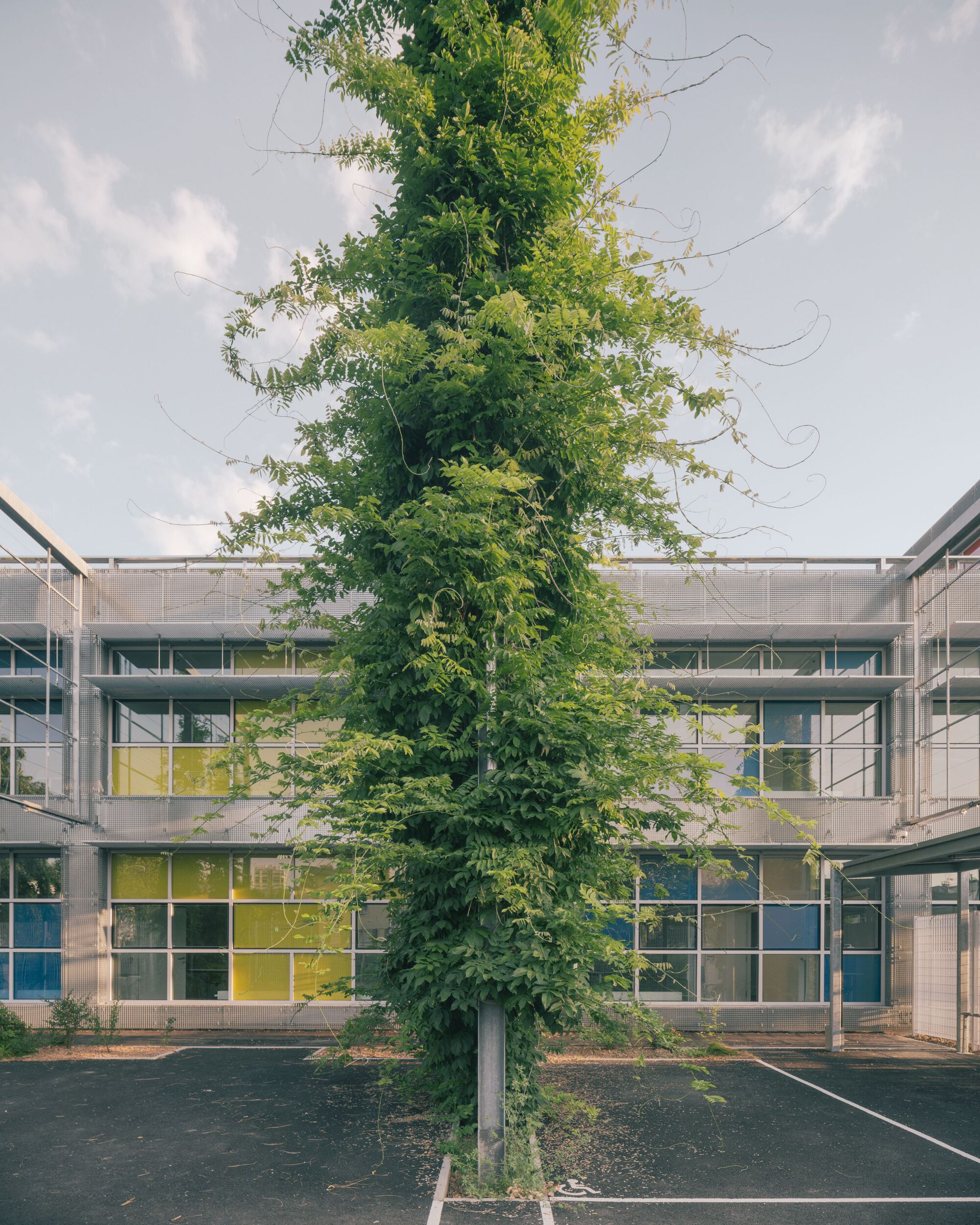 Anne Frank 中学改造丨法国丨MARS Architectes-41