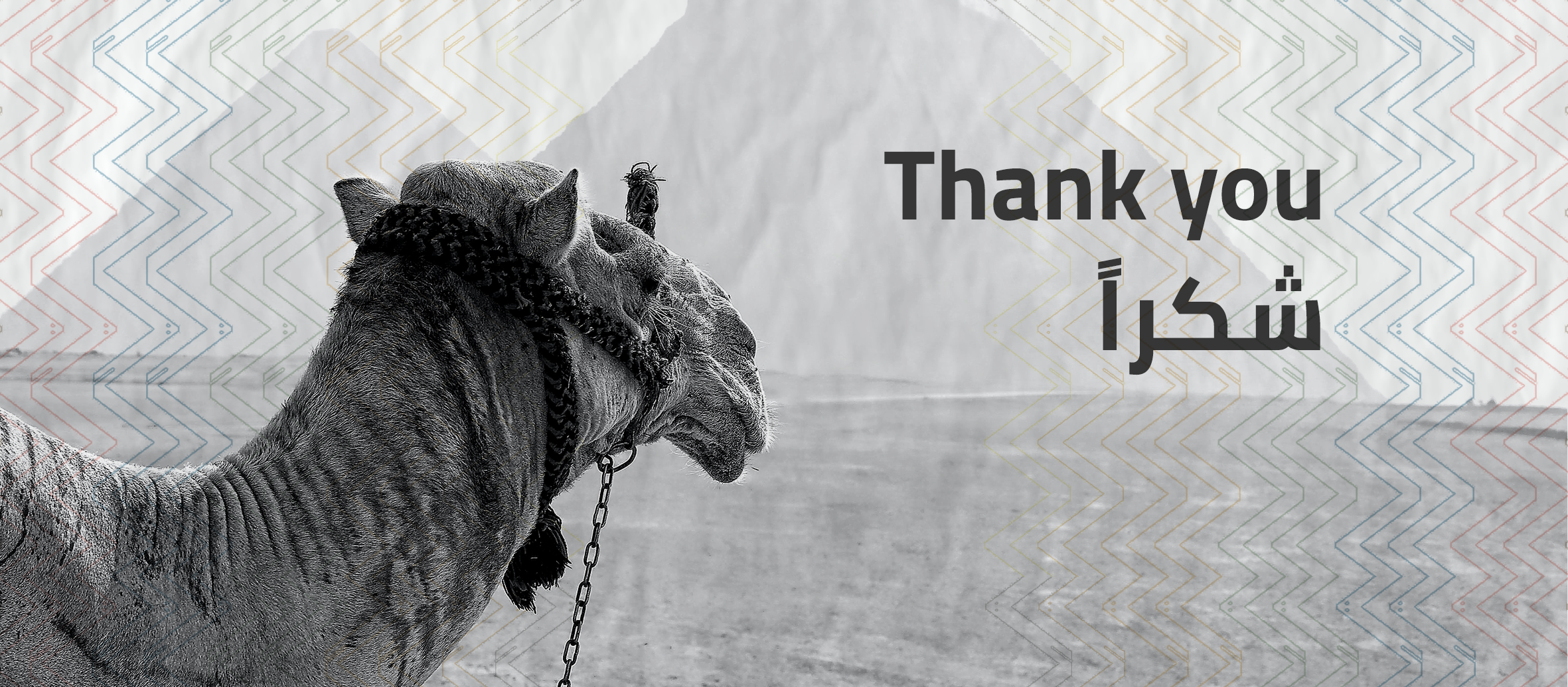 Architecture In Arabic - عمارة بالعربي-9