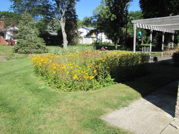 雨花园打造及土壤配置项目丨美国华盛顿-9