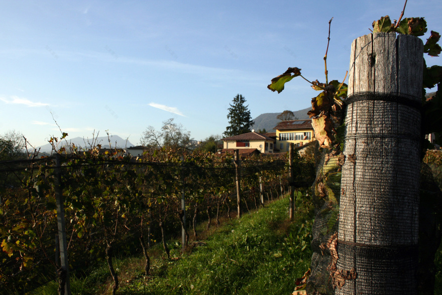 瑞士蒂奇诺州田园风光里的现代农舍改造-11