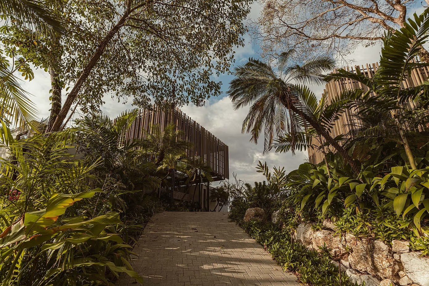 索莱之家 · Studio Sa·e丨哥斯达黎加蓬塔雷纳斯丨Studio Saxe-22