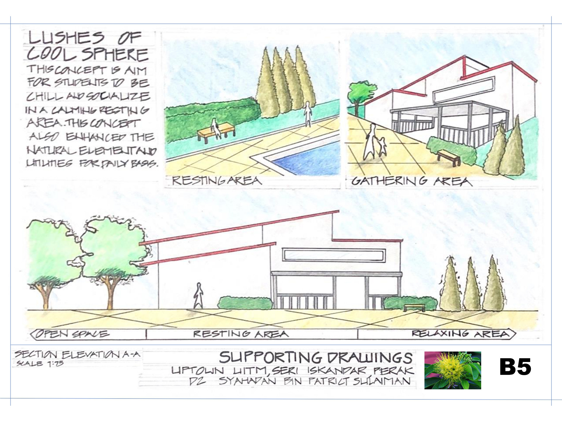 SITE DESIGN PROCESS-1